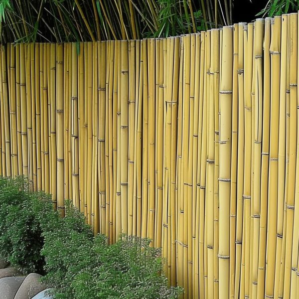 Bamboo Privacy Fence Service